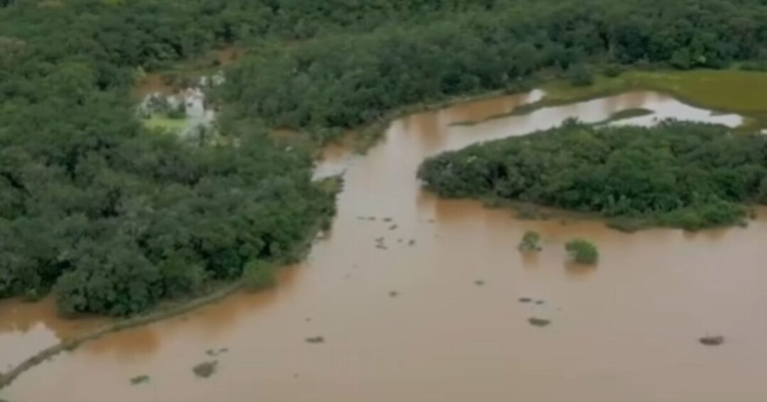 Imagens aéreas mostram como está o trecho araucariense do Rio Iguaçu