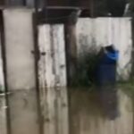 Moradores de casas às margens do Rio Iguaçu ficam ilhados com sequência de chuvas