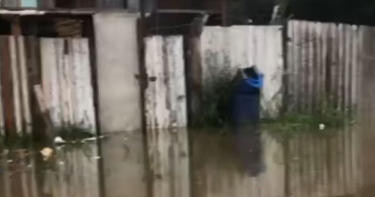 Moradores de casas às margens do Rio Iguaçu ficam ilhados com sequência de chuvas