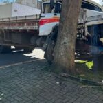 Motorista perde controle de caminhão e bate em árvore