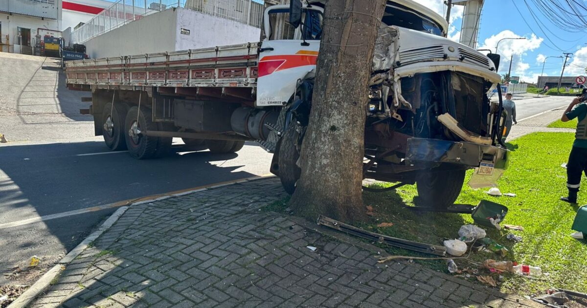 Motorista perde controle de caminhão e bate em árvore