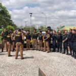 Operação “Araucária Segura” pretende coibir delitos e infrações de trânsito
