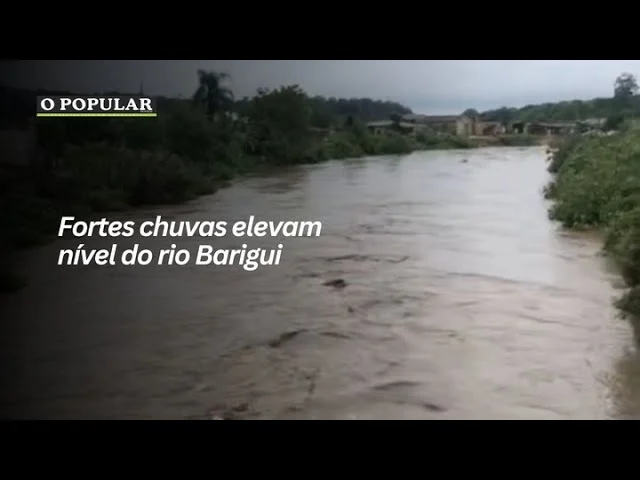 Fortes chuvas elevam nível do rio Barigui