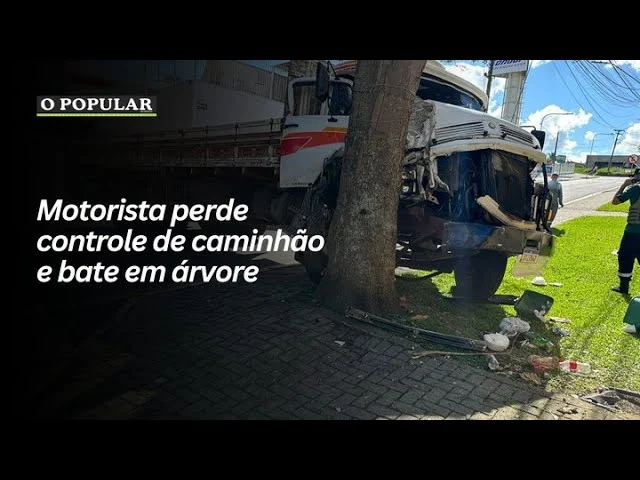 Motorista perde controle de caminhão e bate em árvore