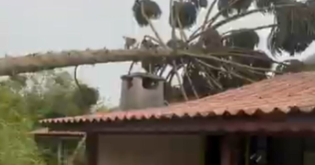 Ventos causam estragos na área rural