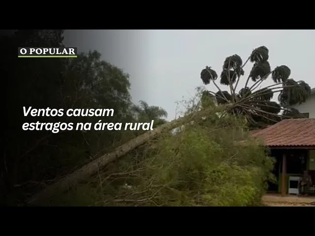 Ventos causam estragos na área rural