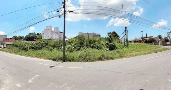 Terreno com mato alto localizado no Centro deixa moradores irritados