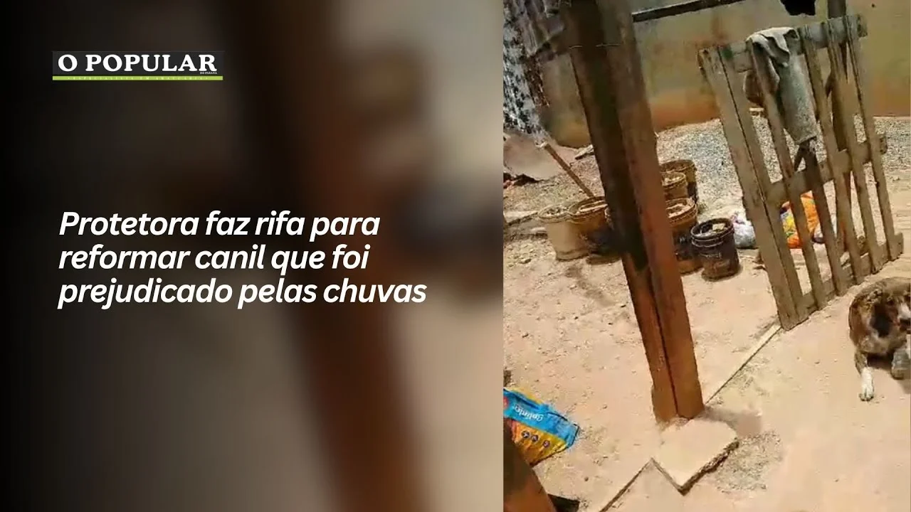 Protetora faz rifa para reformar canil que foi prejudicado pelas chuvas