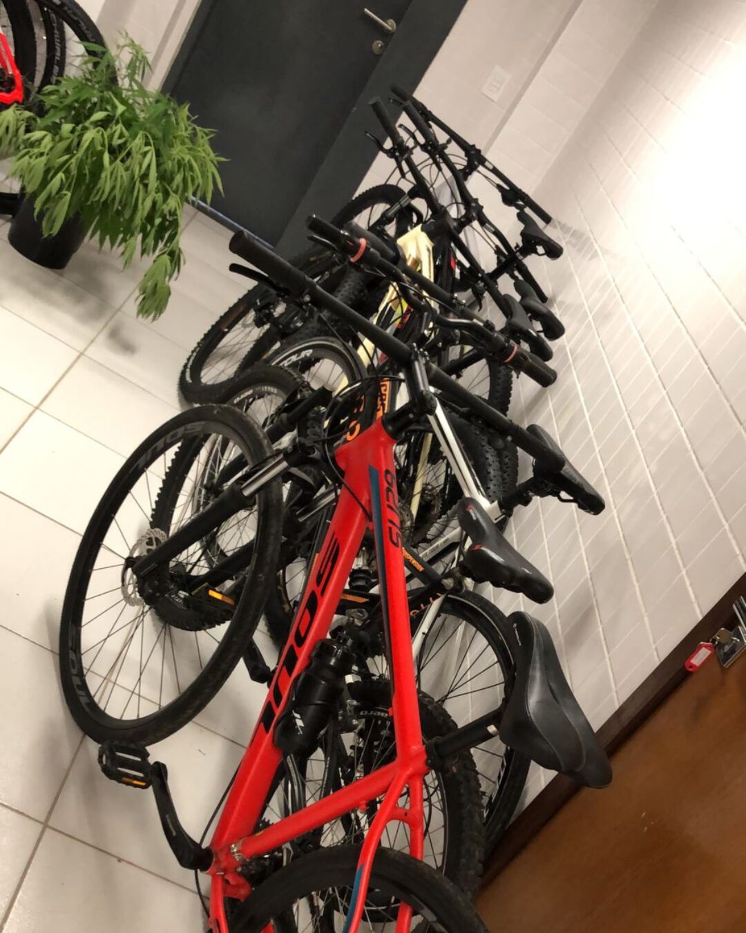 Onze das trinta bicicletas furtadas na semana passada em Curitiba foram encontradas no Jardim Condor
