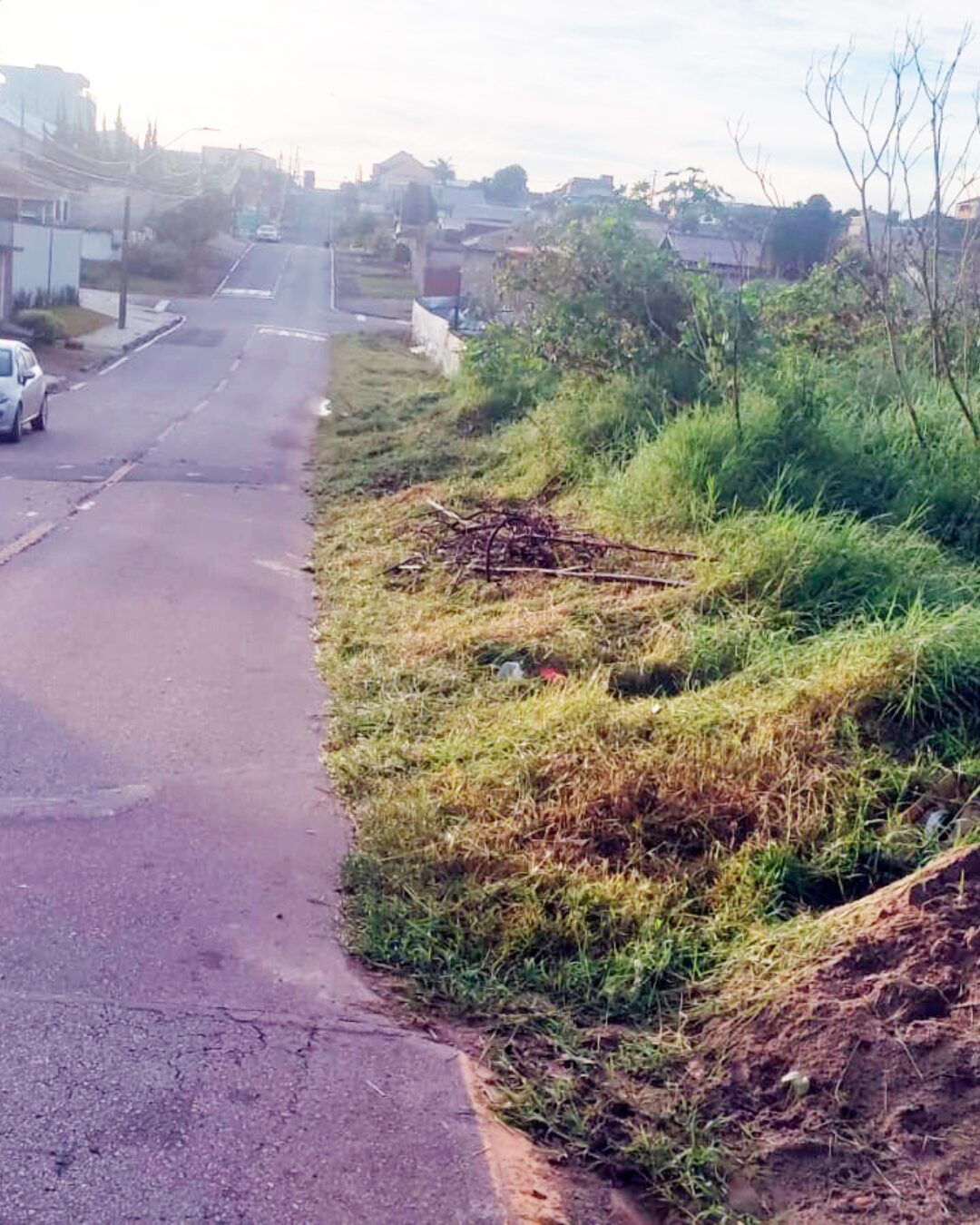 Mato toma conta da Rua Goiás e Meio Ambiente inclui a via na programação de roçadas
