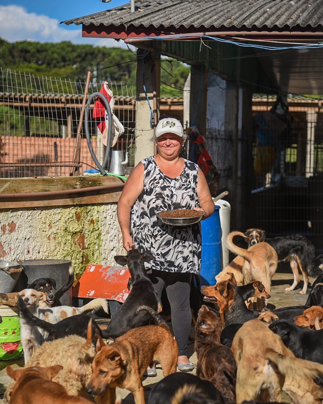 Protetora araucariense faz rifa para comprar ração para cães resgatados