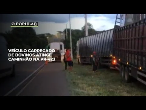 Veículo carregado de bovinos atinge caminhão na PR-423