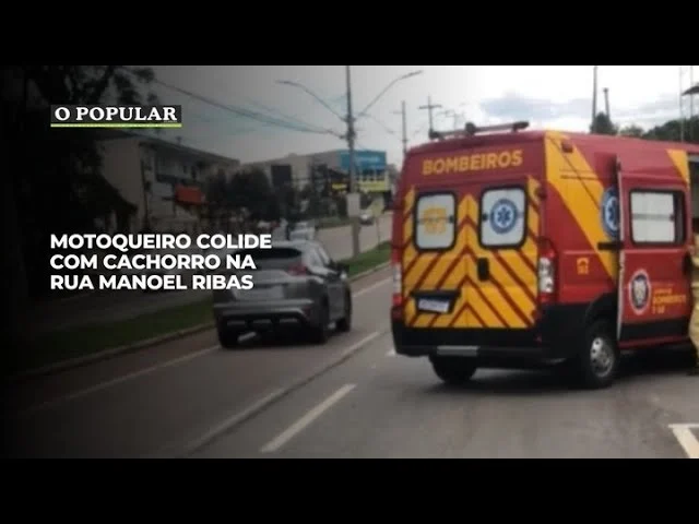 Motoqueiro colide com cachorro na rua Manoel Ribas