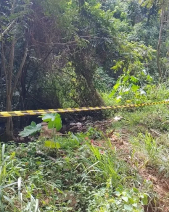 Imagem de destaque - Cadáver de homem é encontrado por morador próximo à Berneck