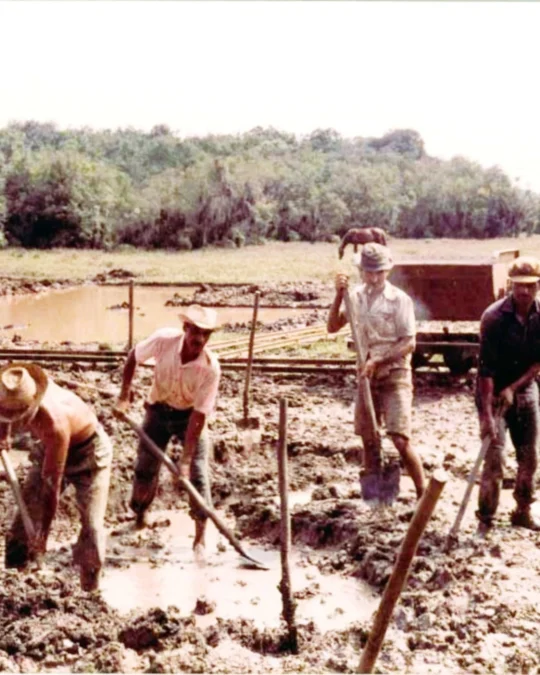 Imagem de destaque - Trabalhadores na matéria-prima das olarias