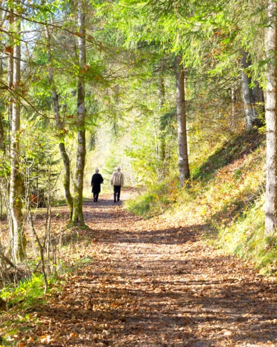 Imagem de destaque - 13ª Caminhada da Natureza será no próximo sábado (08)