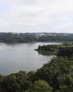 Mata Atlântica EcoFestival passará por Araucária no sábado (03)