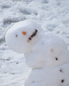 Irmão Lauro: Boneco de Neve