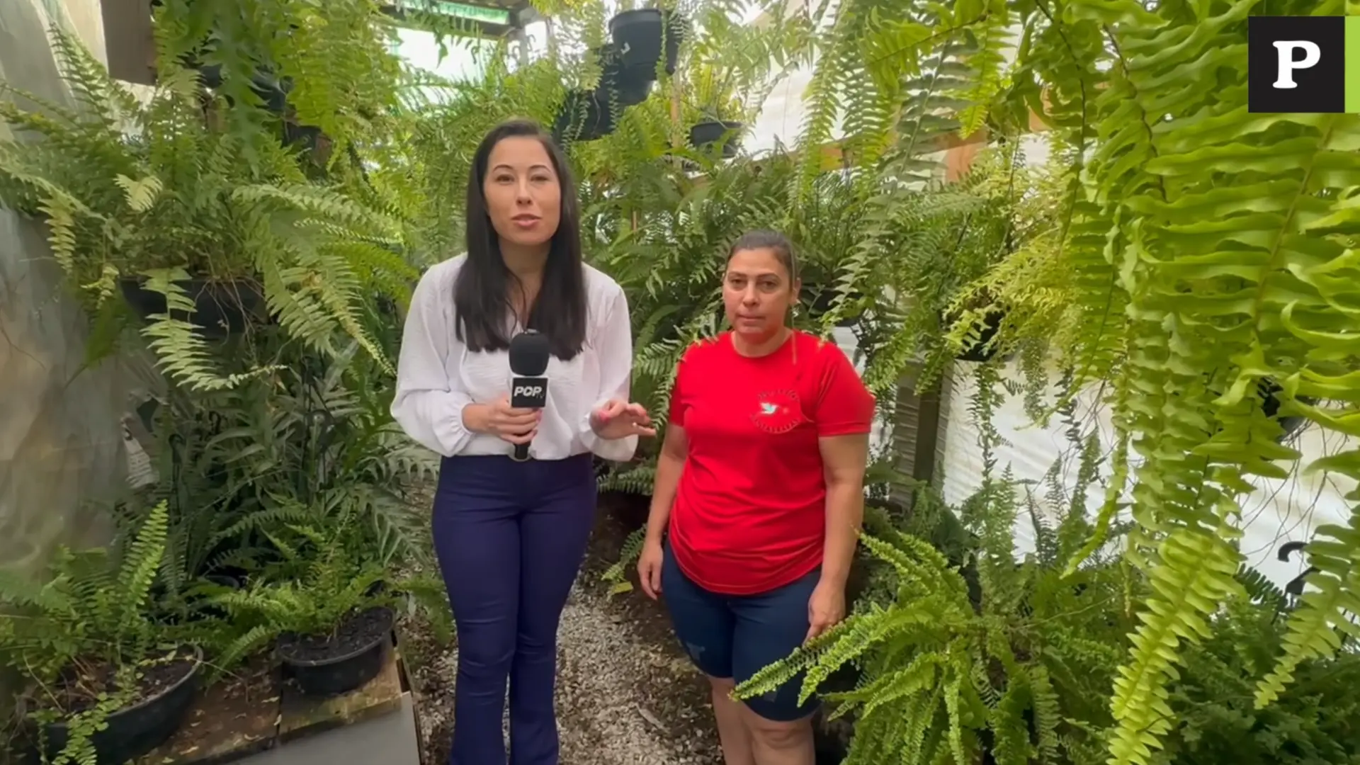 Conheça a floricultura especializada em plantas raras