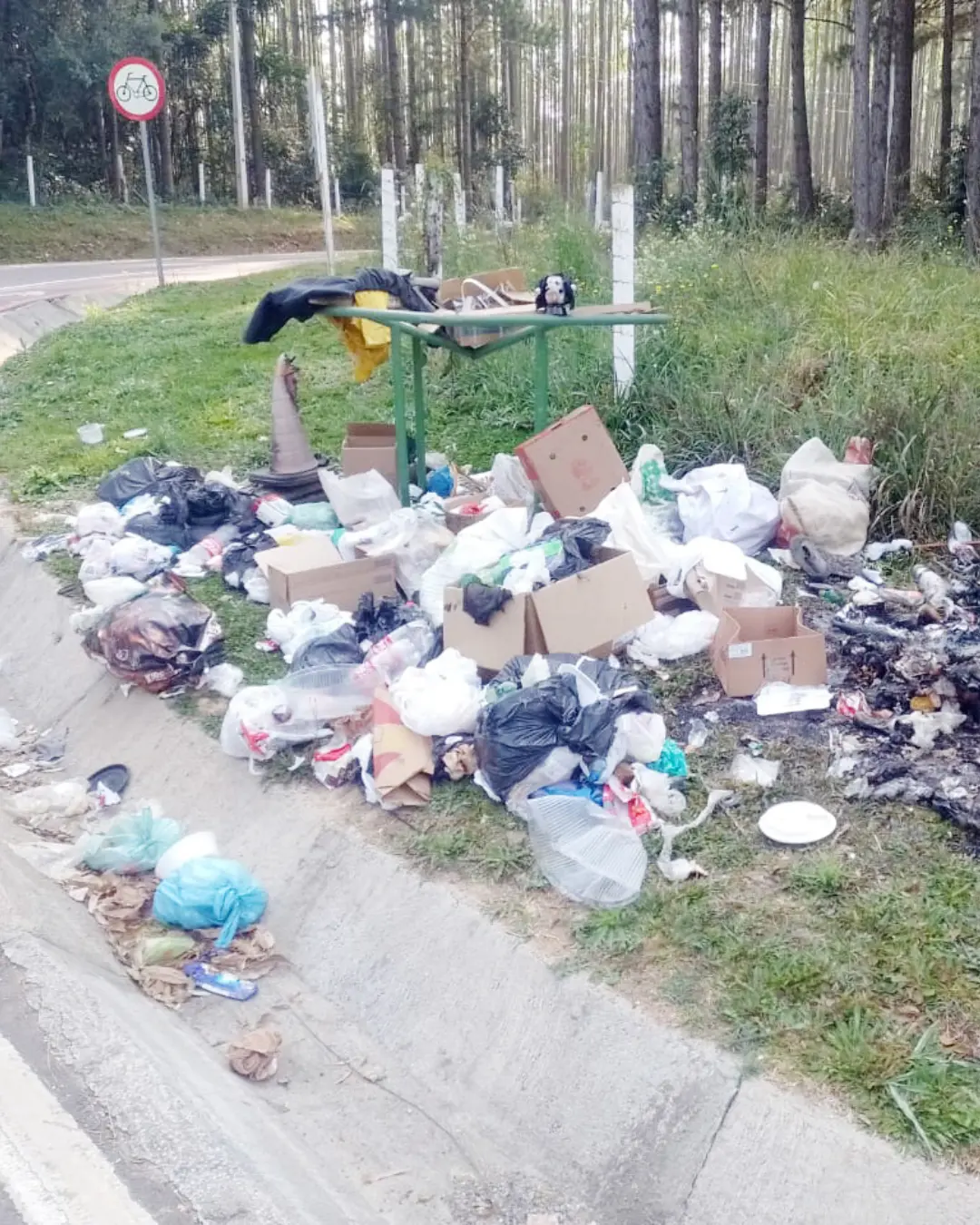 Moradores pedem solução para lixão na Avenida Independência