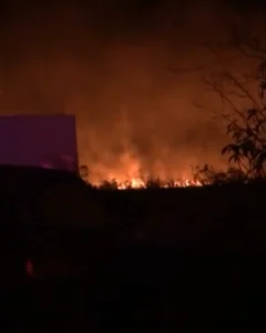 Incêndio de grandes proporções atinge mata na Rua Coleira do Norte