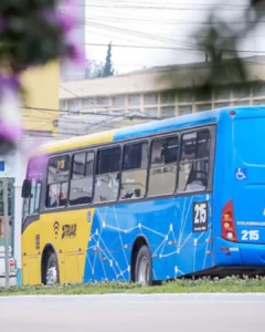 Araucária terá ônibus de graça neste domingo (6) em função das eleições