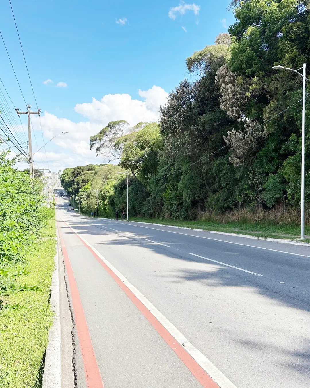 Avenida Manoel Ribas ganha 400 novas luminárias