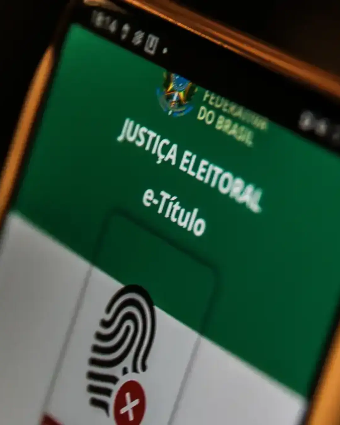 Eleitores sem biometria cadastrada poderão votar apresentando documento com foto