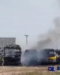 Veja como ficaram os ônibus da Transtupi atingidos pelo fogo