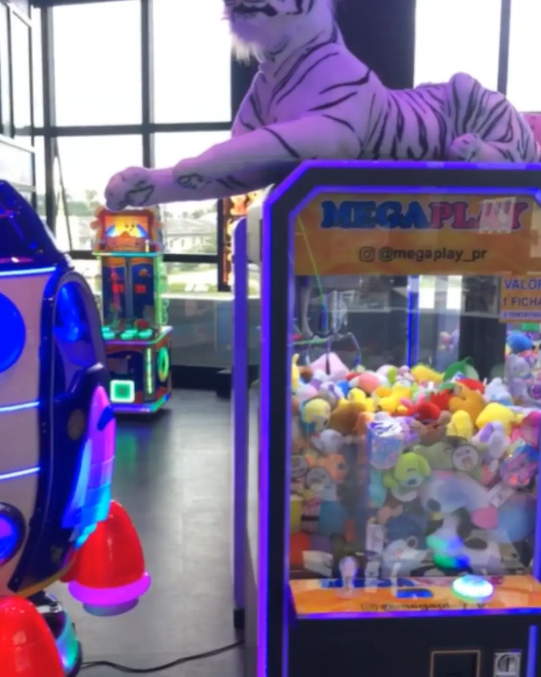 Rascunho automático