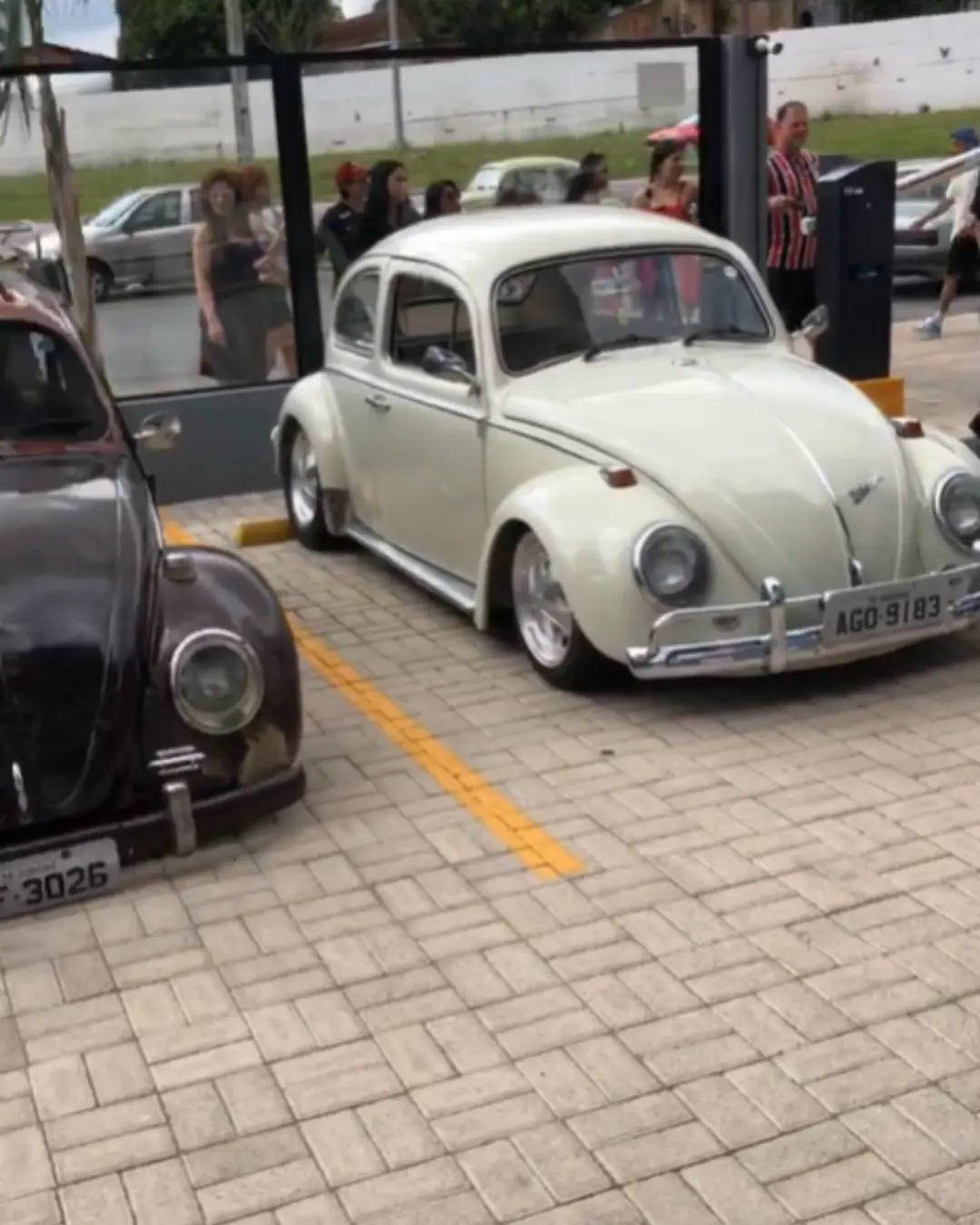 Rascunho automático