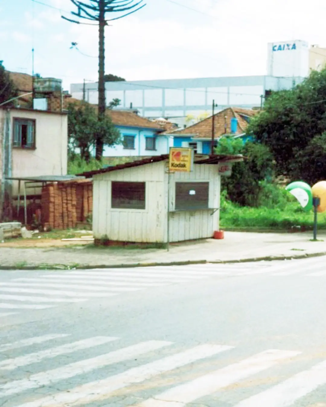 Terezinha Poly: A banca do Bueno