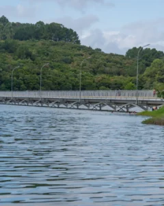 135 anos: Município tem feito a sua parte no cuidado com o meio ambiente