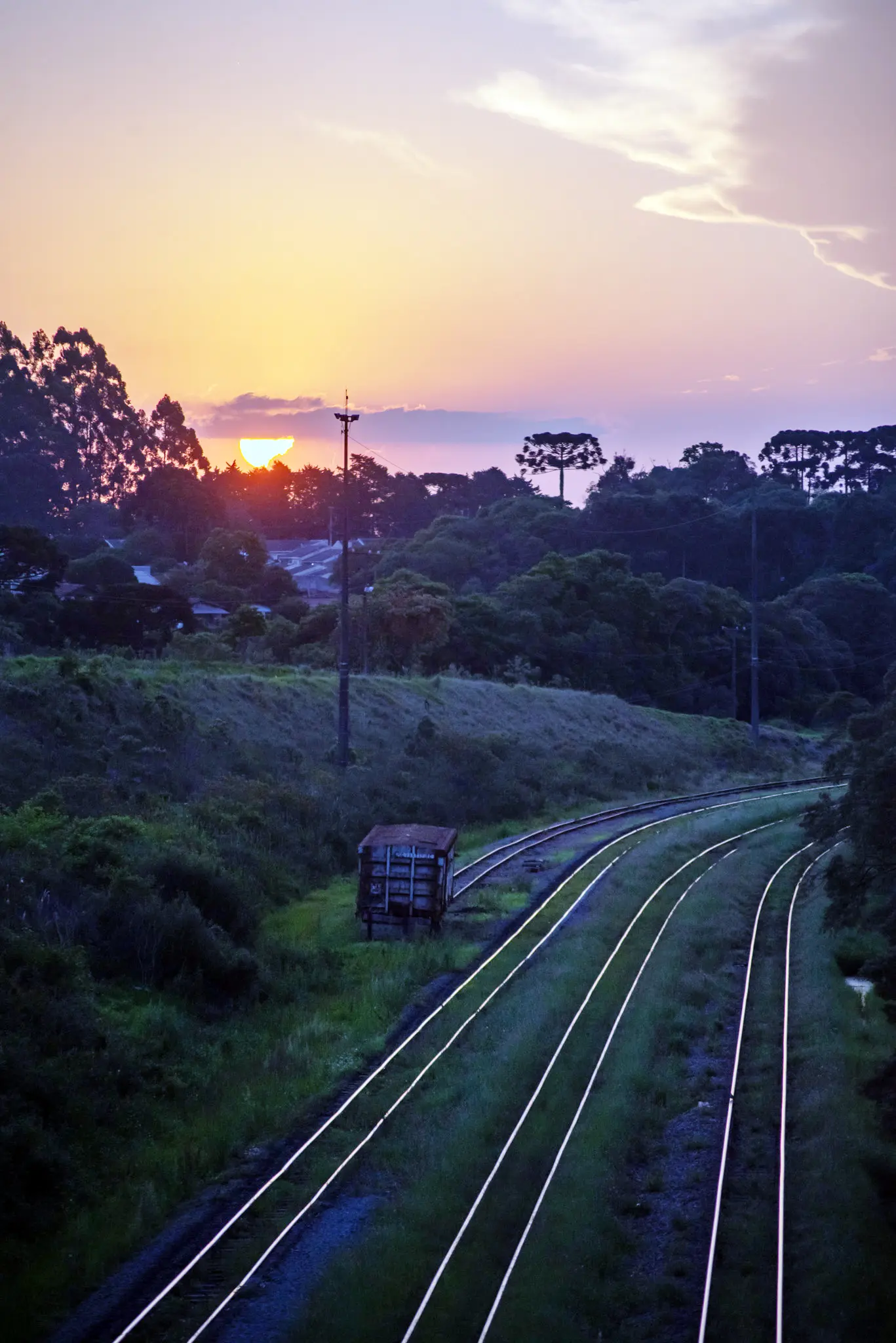 135 anos: Araucária, a cidade que é repleta de cantos e encantos!