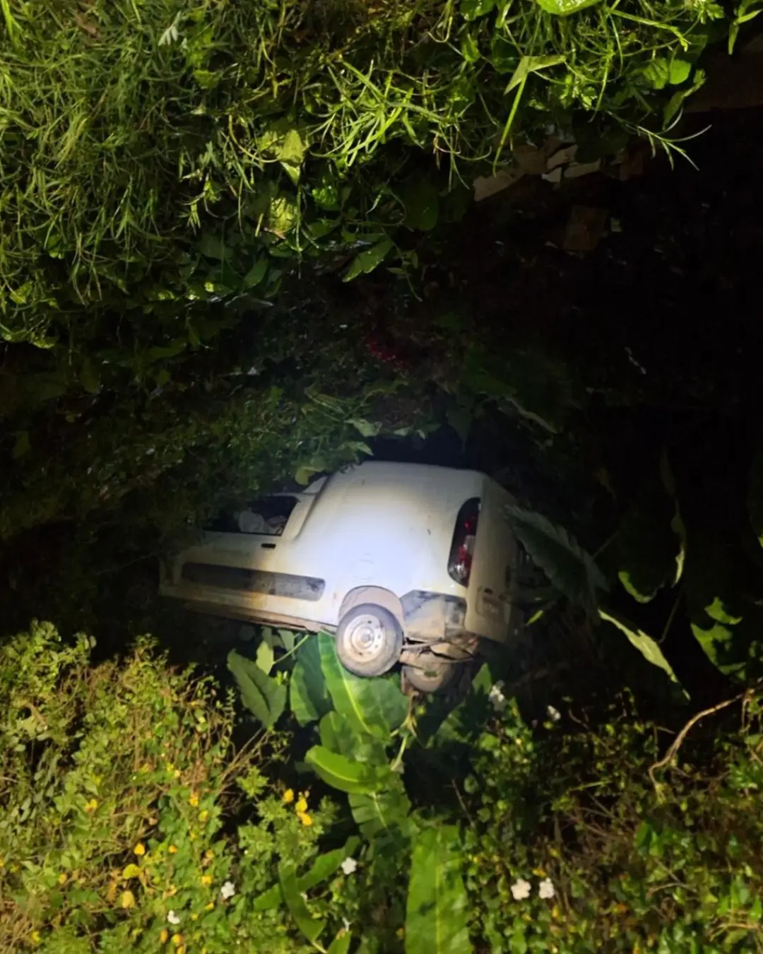 Homem é preso por embriaguez ao volante e posse de drogas