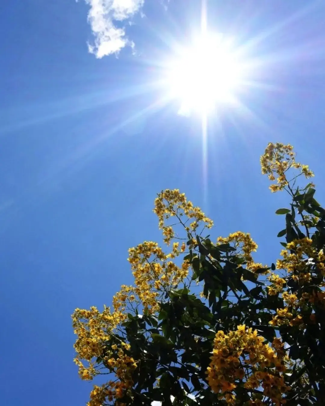 Início de março será marcado por céu claro e calor intenso
