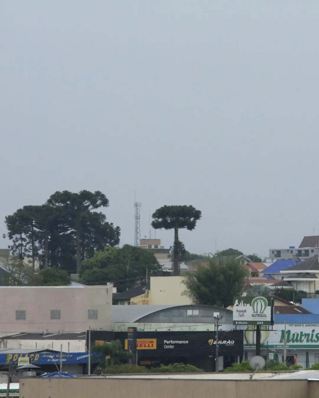 Última semana de fevereiro será marcada com chuva