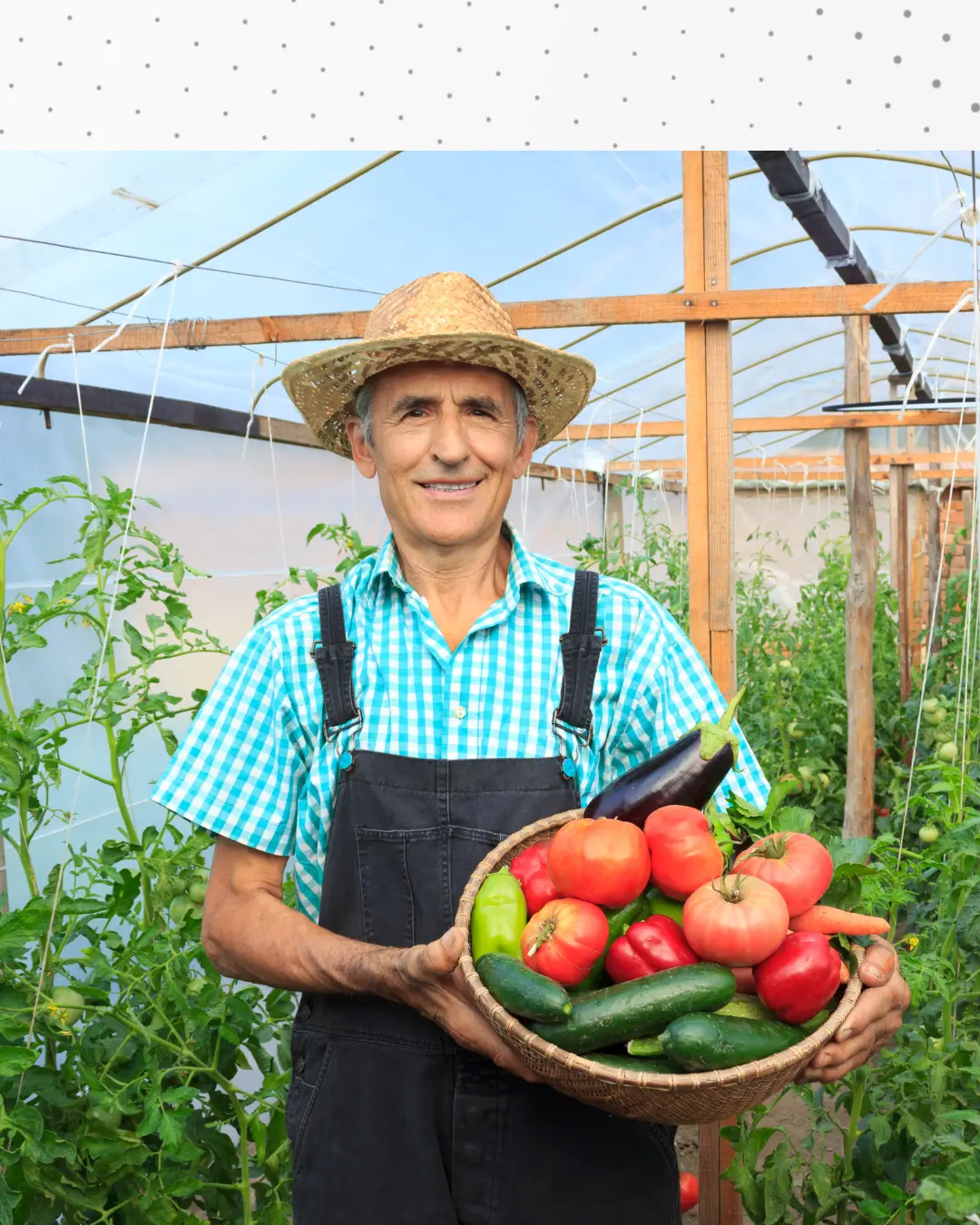 Coluna da SMAS: O PAA — Alimentando Vidas e Fortalecendo Comunidades