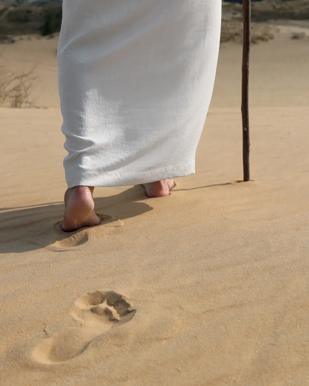 Padre André Marmilicz: “O Espírito conduziu Jesus no deserto” (Mc 1,12)