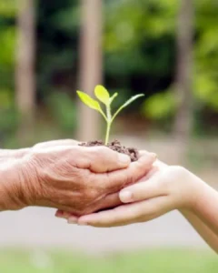 Pároco do Santuário N. Sra. dos Remédios fala da importância da ecologia