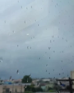 Simepar prevê chuva para esta quarta-feira (26)