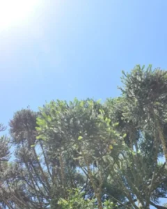 Sem sinal de chuva, temperatura pode chegar a 30°C nesta semana
