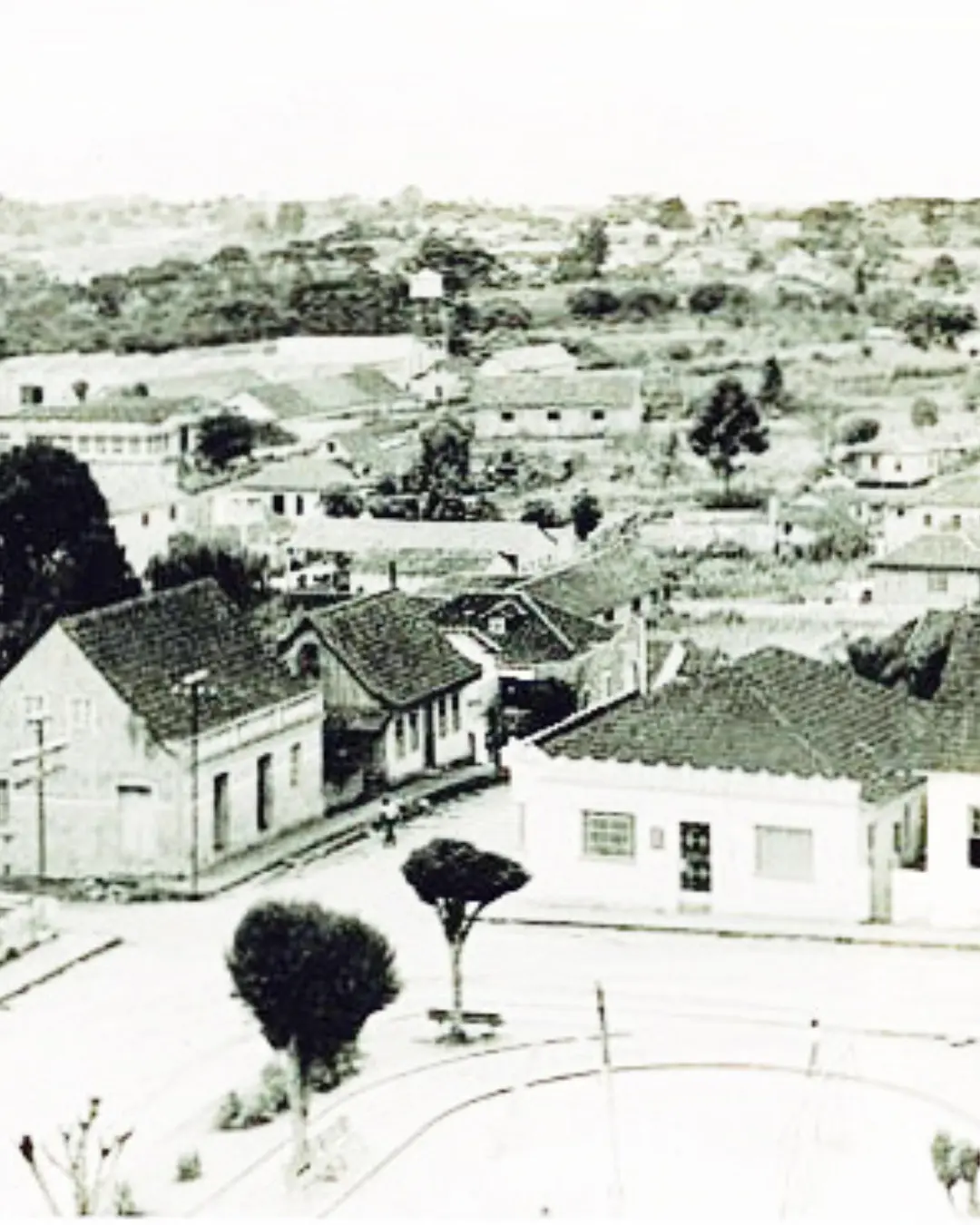 Terezinha Poly: O Centro de Araucária