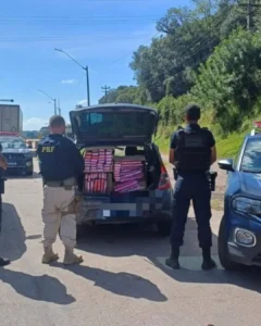 Com parada final em Sampa, 140Kg de maconha é apreendida em Araucária