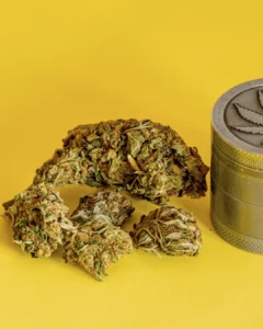 Critérios na apreensão de maconha com menos de 40 gramas gera questionamentos