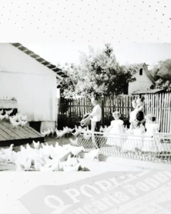 A antiga Granja Araucária