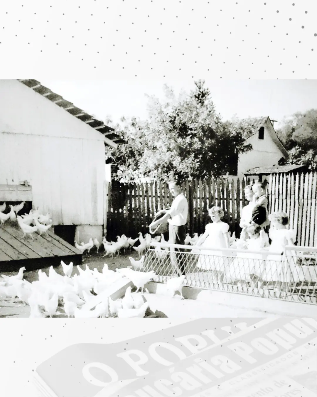 A antiga Granja Araucária