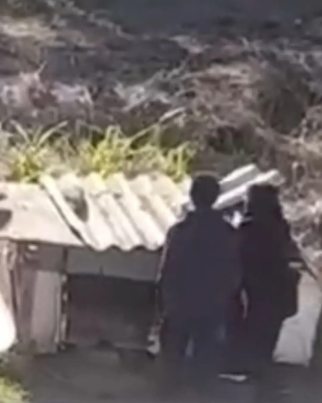 Flagrada destruindo casa de cães comunitários no Thomaz Coelho, mulher diz ter agido sob forte emoção e lamenta o ocorrido