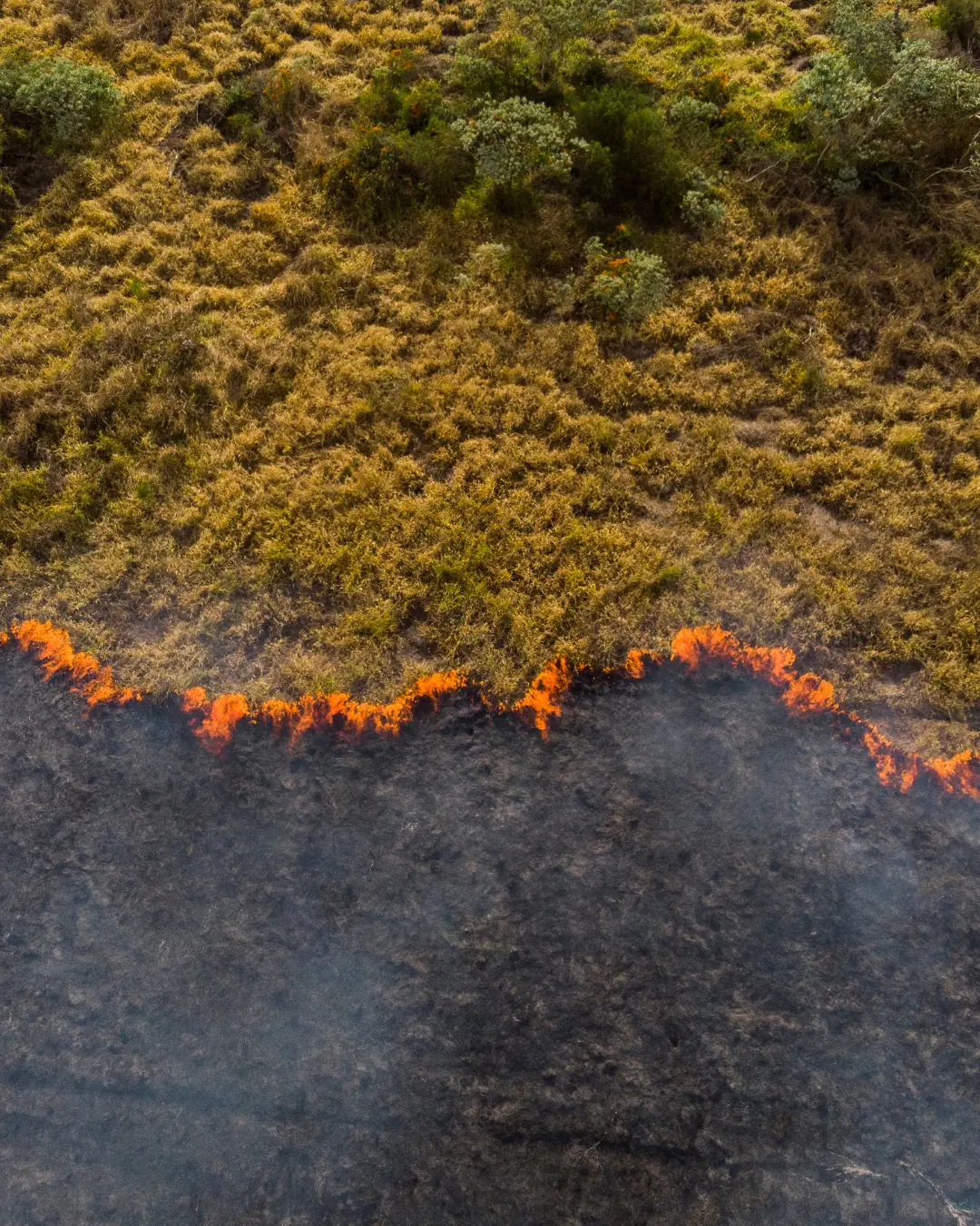Mudanças climáticas exigem que o Município implante ações urgentes, alerta estrategista ambiental