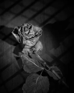 Obituário desta edição teve 28 falecimentos registrados